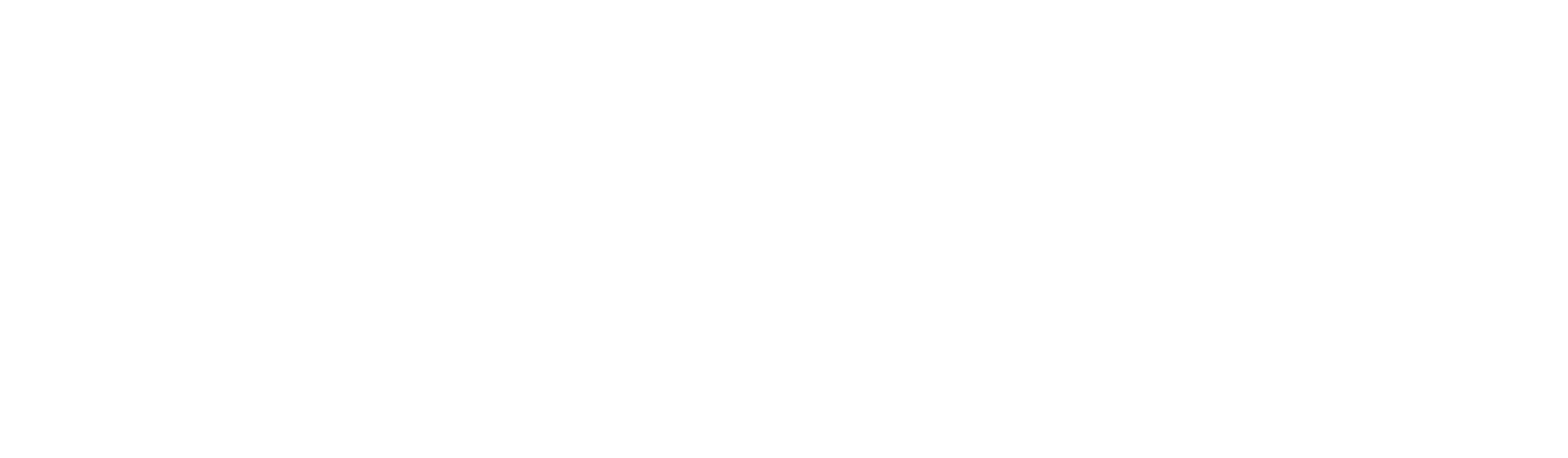 ClientVelocity, LLC Logo